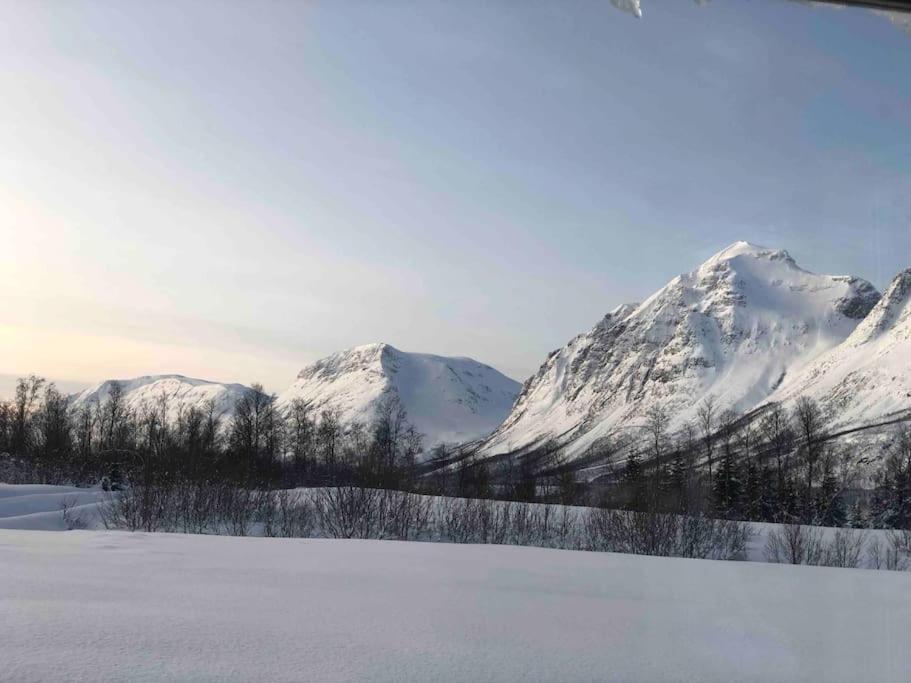 Mountainside Lodge - Breivikeidet トロムソ エクステリア 写真