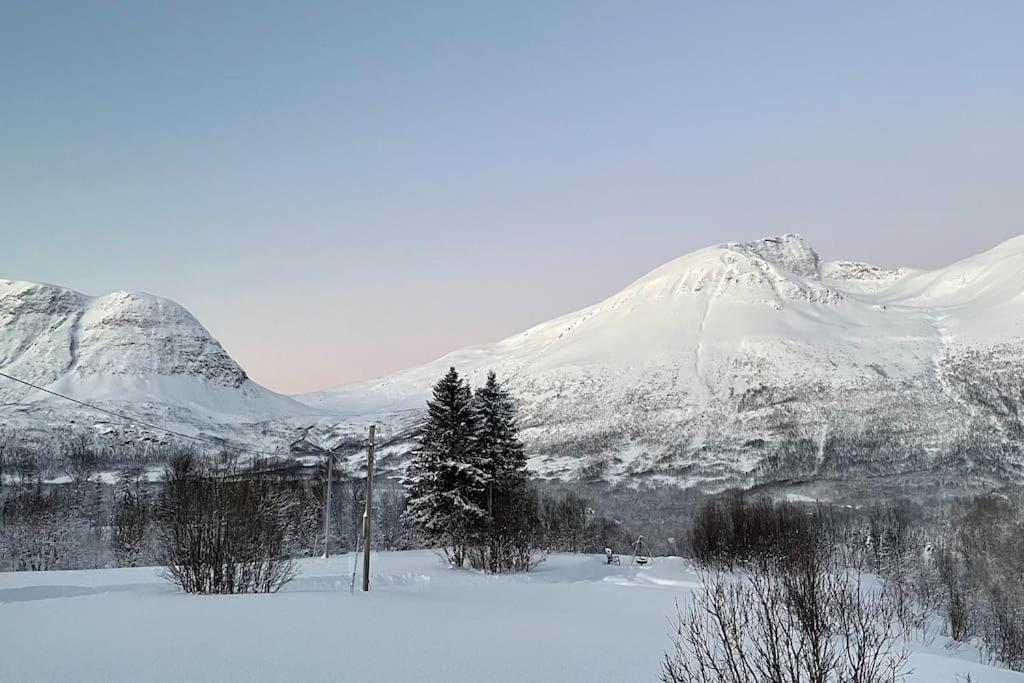 Mountainside Lodge - Breivikeidet トロムソ エクステリア 写真