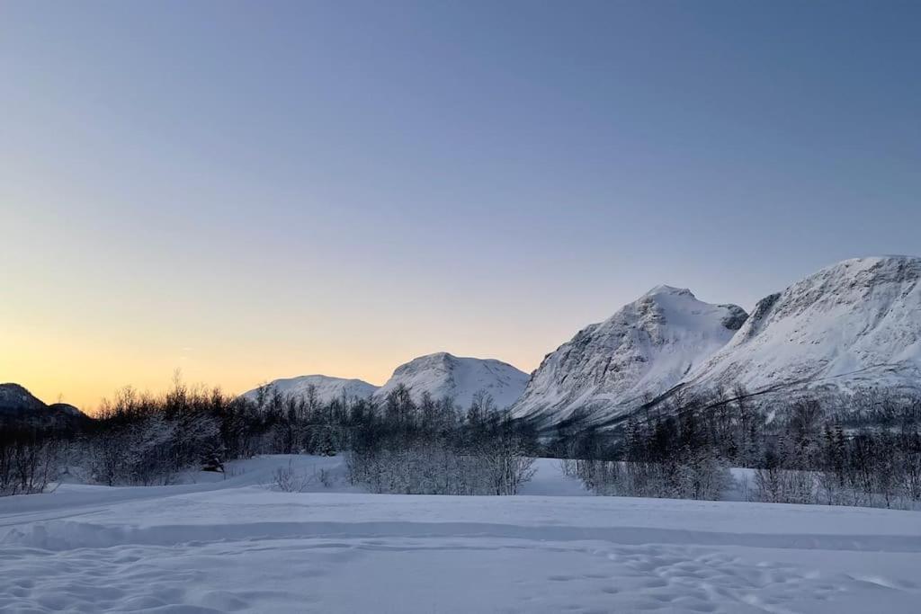 Mountainside Lodge - Breivikeidet トロムソ エクステリア 写真