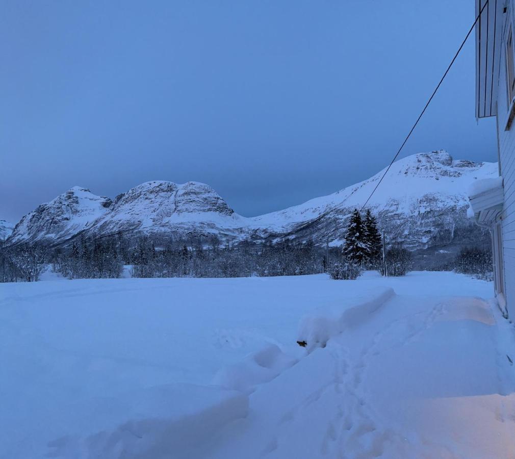 Mountainside Lodge - Breivikeidet トロムソ エクステリア 写真