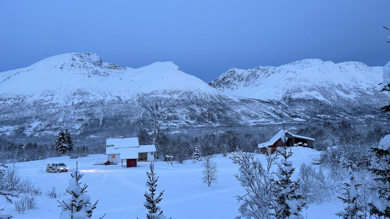 Mountainside Lodge - Breivikeidet トロムソ エクステリア 写真